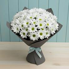 Букет цветов из:  Хризантемы #REPLACE_PRED# Аргуне